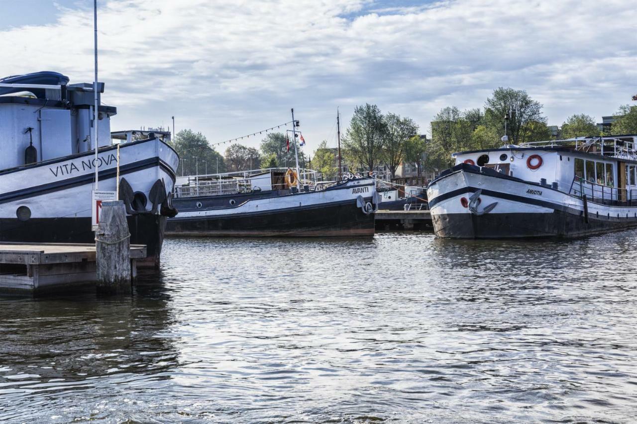 Nova Amsterdam